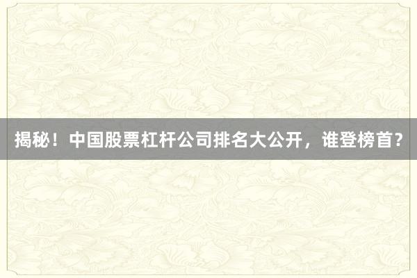 揭秘！中国股票杠杆公司排名大公开，谁登榜首？