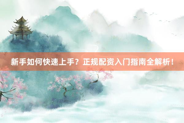新手如何快速上手？正规配资入门指南全解析！