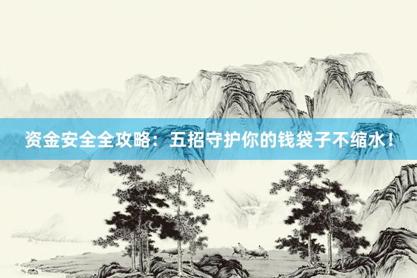 资金安全全攻略：五招守护你的钱袋子不缩水！