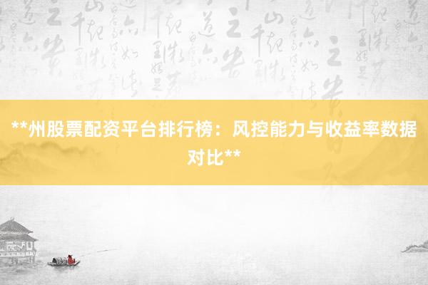 **州股票配资平台排行榜:风控能力与收益率数据对比**