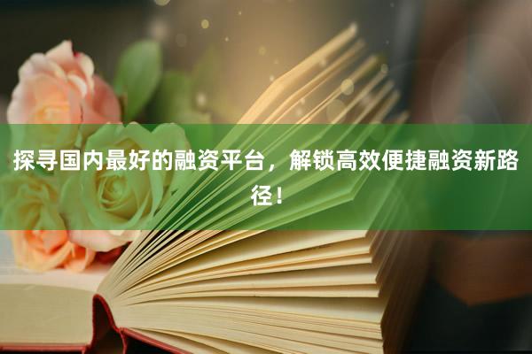 探寻国内最好的融资平台，解锁高效便捷融资新路径！