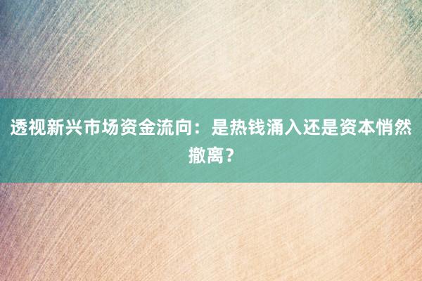 透视新兴市场资金流向：是热钱涌入还是资本悄然撤离？