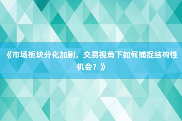 《市场板块分化加剧，交易视角下如何捕捉结构性机会？》